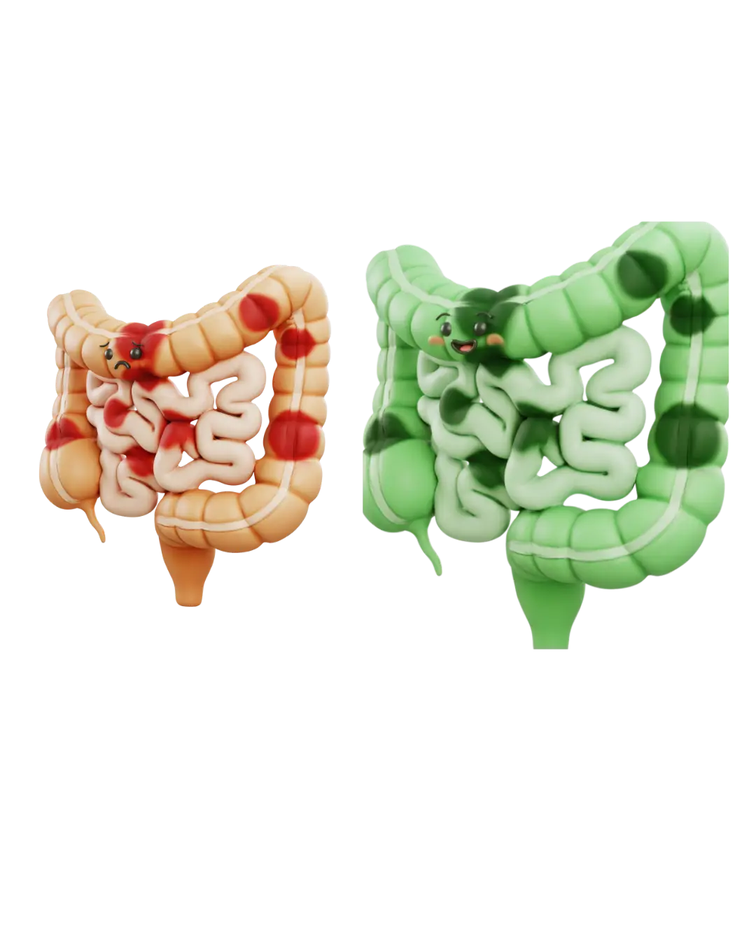 Intestino inflamado vs saudável